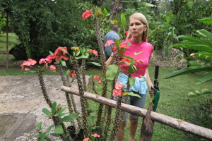 Prelepe rastline v tropih